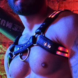Breedwell Harnais lumineux RAVE BULLDOG Breedwell